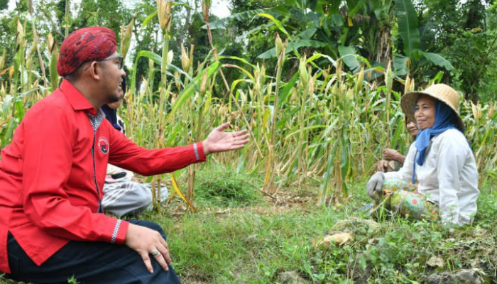 Bupati Sumenep Tegaskan Komitmen Dukung Petani Tembakau Jelang Musim Tanam 2026 4 IMG 20260616 211801