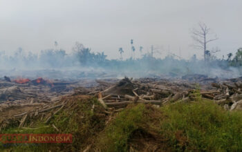 Tumpukan Kayu Bekas Banjir di Aceh Utara Kembali Terbakar, Warga Khawatir Api Menjalar ke Permukiman 3 IMG 20260725 130923