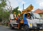 IMG 20260806 113702