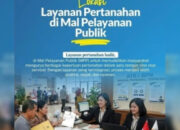 IMG 20260806 200308