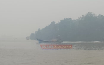 Kabut Asap Tebal di Perairan Tanjab Barat, Nelayan Keluhkan Keselamatan dan Turunnya Harga Udang Ketak 6 IMG 20261024 184835